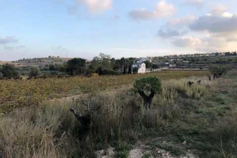 Helårsgrund i Benissa, Alicante, Benissa - € 245.000 | Ref: PD40018 - foto 3
