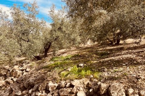 Ruinere i Iznajar, Cordoba, Iznajar - € 25.000 | Ref: ID3958 - foto 4