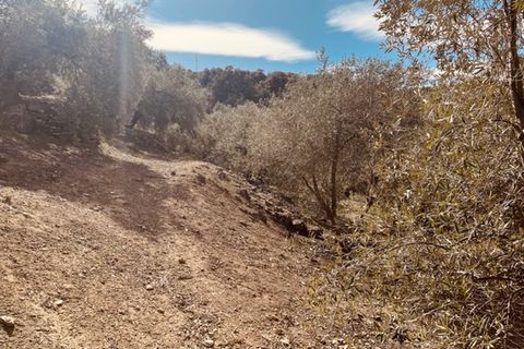 Ruinere i Iznajar, Cordoba, Iznajar - € 25.000 | Ref: ID3958 - foto 9