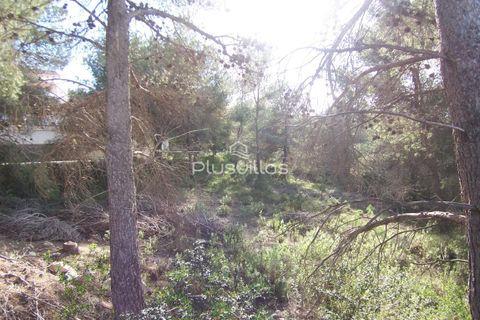 Helårsgrund i Moraira, Alicante, Moraira - € 240.000 | Ref: P42* - foto 7