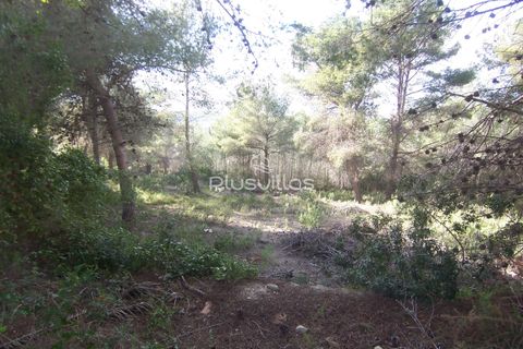 Helårsgrund i Moraira, Alicante, Moraira - € 250.000 | Ref: P43* - foto 3