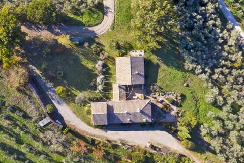 Landejendom i Pienza, Siena, Pienza - € 1.900.000 | Ref: DIC.5104 - foto 3