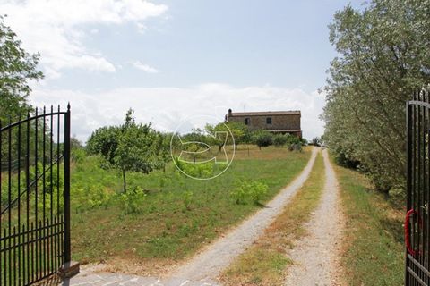 Villa a Asciano, Siena, Asciano - € 890.000 | Ref: DIC.5148 - foto 4