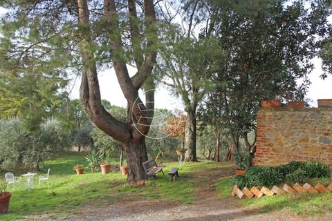 Landejendom i Trequanda, Siena, Trequanda - € 1.300.000 | Ref: DIC.5194 - foto 9