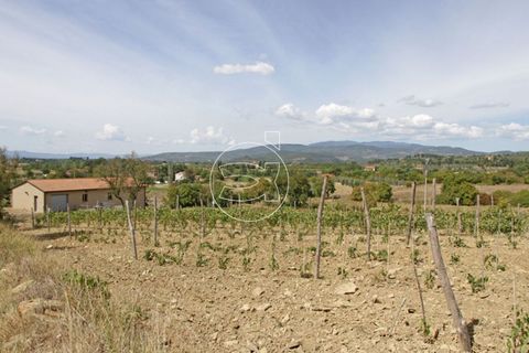 Landejendom i Arezzo, Arezzo, Arezzo - € 1.450.000 | Ref: DIC.5216 - foto 3