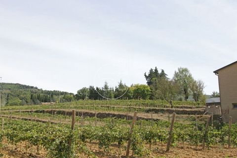 Landejendom i Arezzo, Arezzo, Arezzo - € 1.450.000 | Ref: DIC.5216 - foto 6