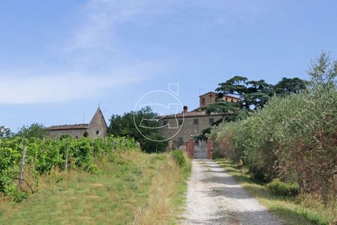 Herregård i Sinalunga, Siena, Sinalunga - € 3 500 000 | Ref: DIC.5221 - foto 4