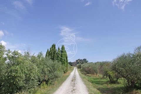 Herregård i Sinalunga, Siena, Sinalunga - € 3 500 000 | Ref: DIC.5221 - foto 6