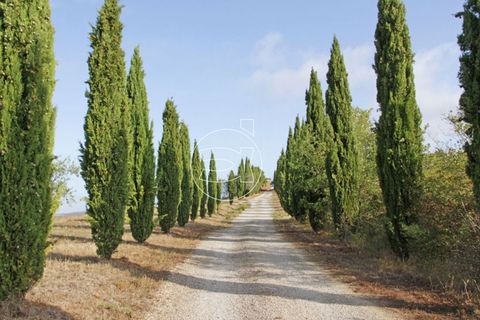 Landejendom i Trequanda, Siena, Trequanda - € 2.900.000 | Ref: DIC.5223 - foto 3