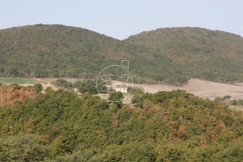 Landejendom i Trequanda, Siena, Trequanda - € 2.900.000 | Ref: DIC.5223 - foto 4