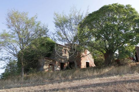 Landejendom i Trequanda, Siena, Trequanda - € 2.900.000 | Ref: DIC.5223 - foto 7