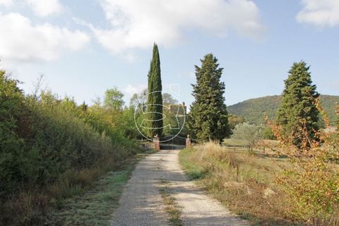 Landejendom i Trequanda, Siena, Trequanda - € 2.900.000 | Ref: DIC.5223 - foto 8