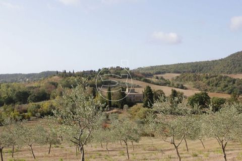 Landejendom i Trequanda, Siena, Trequanda - € 2.900.000 | Ref: DIC.5223 - foto 9