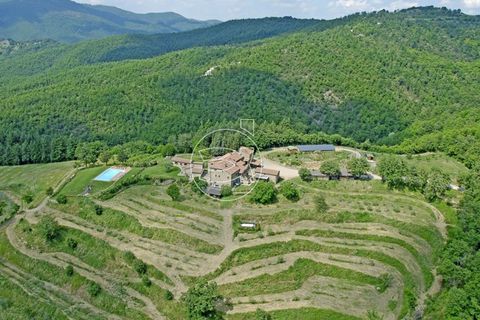 Landejendom i Arezzo, Arezzo, Arezzo - € 1.850.000 | Ref: DIC.5242 - foto 2