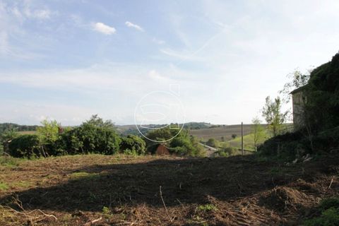 Landejendom i Asciano, Siena, Asciano - € 1.225.000 | Ref: DIC.5347 - foto 5