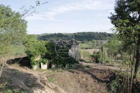 Landejendom i Asciano, Siena, Asciano - € 1.225.000 | Ref: DIC.5347 - foto 6