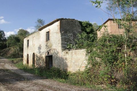 Landejendom i Asciano, Siena, Asciano - € 1.225.000 | Ref: DIC.5347 - foto 9