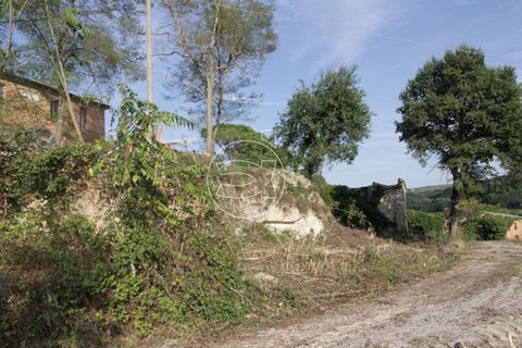 Landejendom i Asciano, Siena, Asciano - € 1.225.000 | Ref: DIC.5347 - foto 10