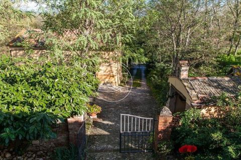 Landejendom i Asciano, Siena, Asciano - € 900.000 | Ref: DIC.5420 - foto 6