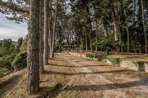 Villa i Arezzo, Arezzo, Arezzo - € 800.000 | Ref: DIC.5454 - foto 6