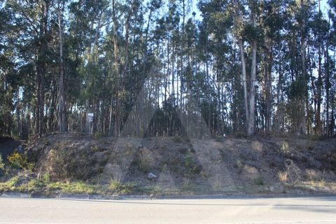 Helårsgrund i Agueda, Aveiro, Agueda - € 18.500 | Ref: 1060648/22 AL - foto 2