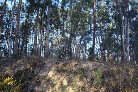 Helårsgrund i Agueda, Aveiro, Agueda - € 18.500 | Ref: 1060648/22 AL - foto 6
