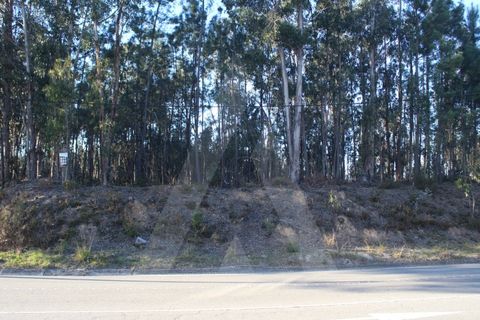 Helårsgrund i Agueda, Aveiro, Agueda - € 18.500 | Ref: 1060648/22 AL - foto 8