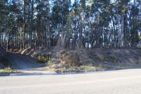 Helårsgrund i Agueda, Aveiro, Agueda - € 18.500 | Ref: 1060648/22 AL - foto 10