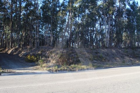 Helårsgrund i Agueda, Aveiro, Agueda - € 18.500 | Ref: 1060648/22 AL - foto 11