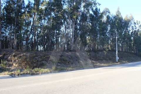 Helårsgrund i Agueda, Aveiro, Agueda - € 18.500 | Ref: 1060648/22 AL - foto 12