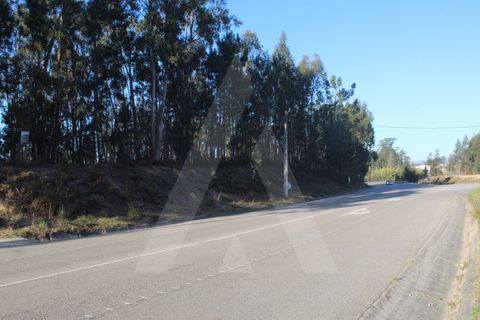 Helårsgrund i Agueda, Aveiro, Agueda - € 18.500 | Ref: 1060648/22 AL - foto 14