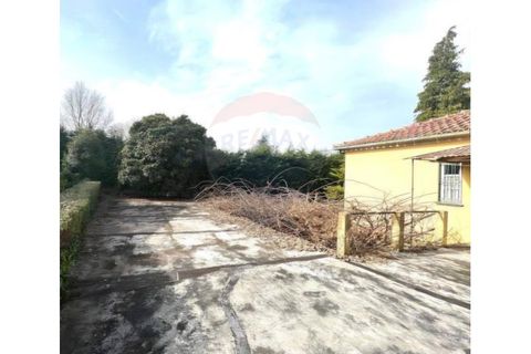 Villa a Ponte da Barca, Viana do Castelo, Ponte da Barca - € 240.000 | Ref: 126371012-32 - foto 19