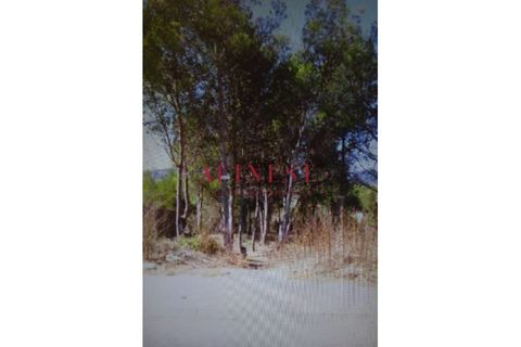 Helårsgrund i Alcabideche, Lisbon, Alcabideche - € 333.000 | Ref: C0307/25 - foto 4