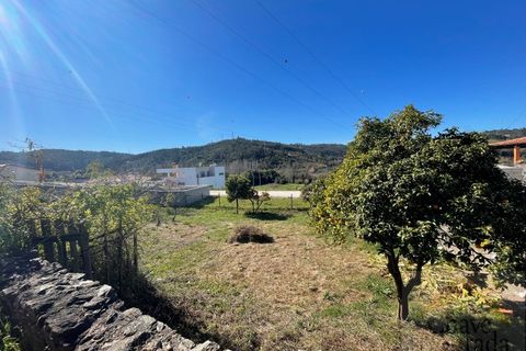 Tomt i Ceira, Coimbra, Ceira - € 79 000 | Ref: 15283 - foto 3