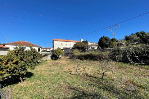 Tomt i Ceira, Coimbra, Ceira - € 79 000 | Ref: 15283 - foto 2