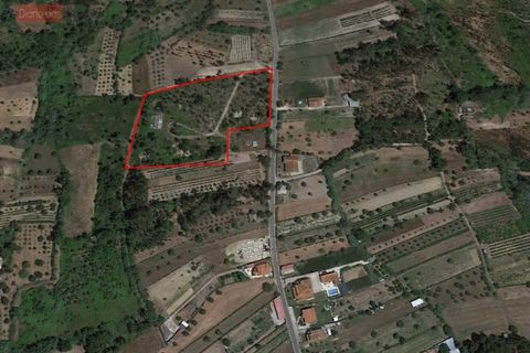 Helårsgrund i Coimbra, Coimbra, Coimbra - € 115.000 | Ref: 5205U - foto 1