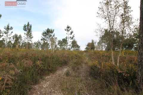 Helårsgrund i Coimbra, Coimbra, Coimbra - € 115.000 | Ref: 5205U - foto 4