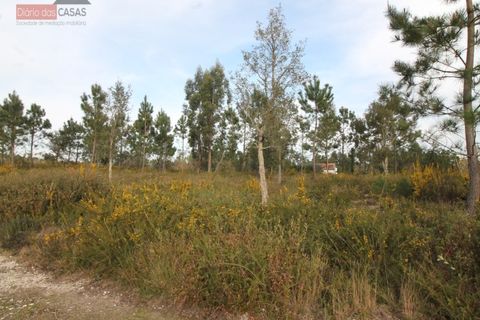 Helårsgrund i Coimbra, Coimbra, Coimbra - € 115.000 | Ref: 5205U - foto 7