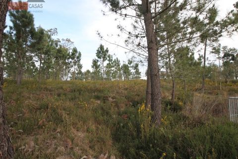 Helårsgrund i Coimbra, Coimbra, Coimbra - € 115.000 | Ref: 5205U - foto 6