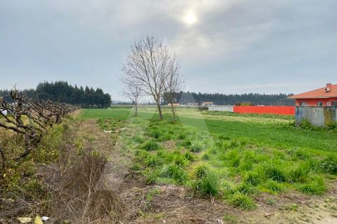 Helårsgrund i Aveiro, Aveiro, Aveiro - € 87.500 | Ref: 1011388/22 GL - foto 6