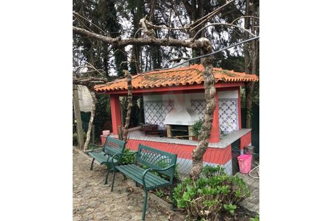 Farm i Maia, Porto, Maia - € 1.400.000 | Ref: 5495 - foto 27