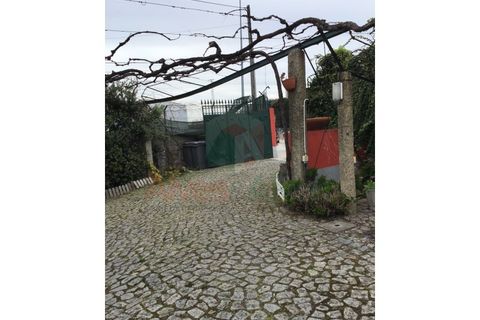 Farm i Maia, Porto, Maia - € 1.400.000 | Ref: 5495 - foto 29