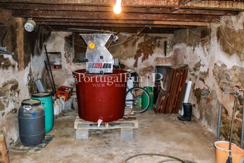 Landejendom i Macao, Santarem, Macao - € 27.000 | Ref: 573-2 - foto 24