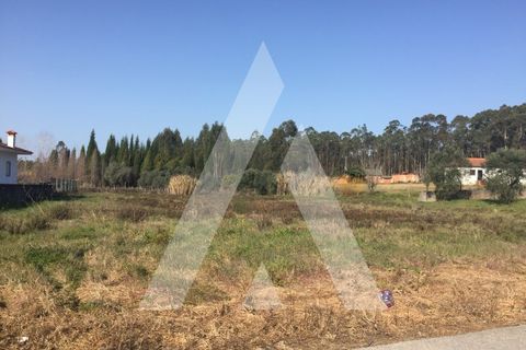 Helårsgrund i Cantanhede, Coimbra, Cantanhede - € 55.000 | Ref: 1050835/22 OB - foto 2