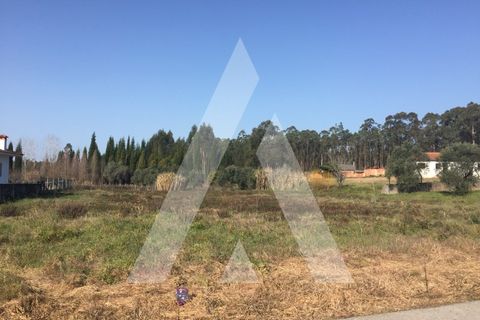 Helårsgrund i Cantanhede, Coimbra, Cantanhede - € 55.000 | Ref: 1050835/22 OB - foto 3