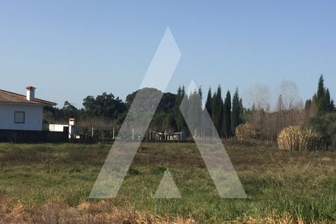 Helårsgrund i Cantanhede, Coimbra, Cantanhede - € 55.000 | Ref: 1050835/22 OB - foto 4
