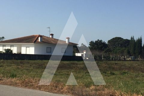 Helårsgrund i Cantanhede, Coimbra, Cantanhede - € 55.000 | Ref: 1050835/22 OB - foto 5