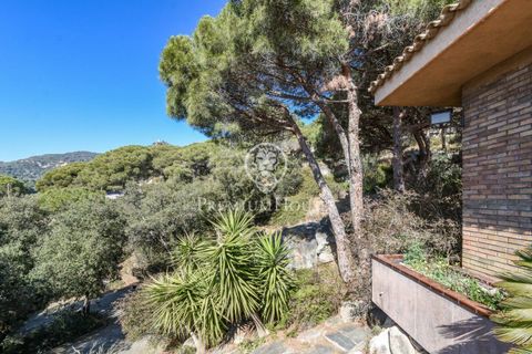 Villa a Cabrera De Mar, Barcelona, Cabrera De Mar - € 2.500.000 | Ref: PH101551/3699 - foto 28