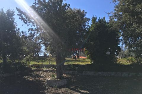 Landejendom i Cisternino, Brindisi, Cisternino - € 235.000 | Ref: 161 - foto 13