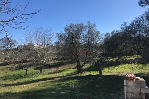Landejendom i Cisternino, Brindisi, Cisternino - € 235.000 | Ref: 161 - foto 25